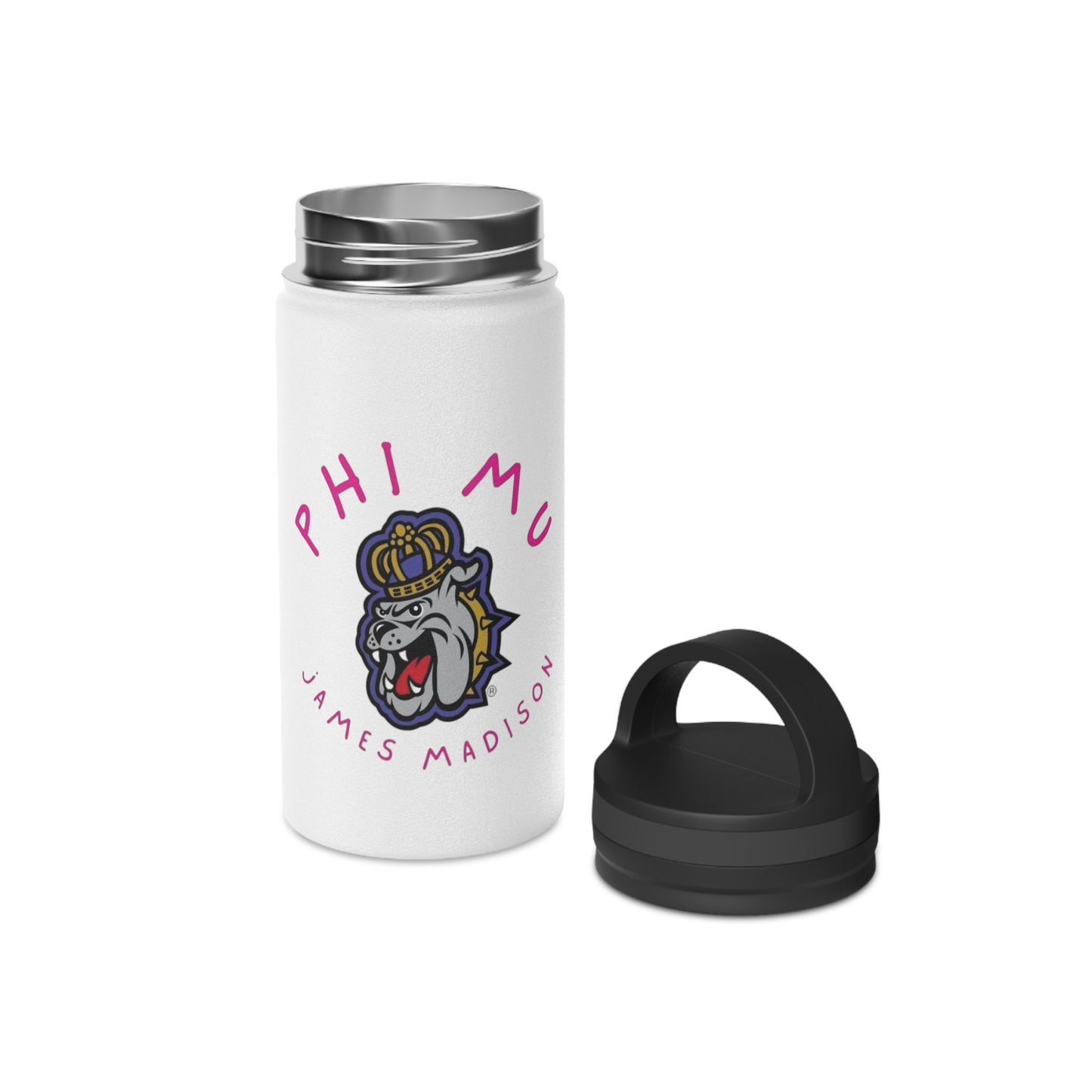 Stainless Steel Water Bottle, Handle Lid