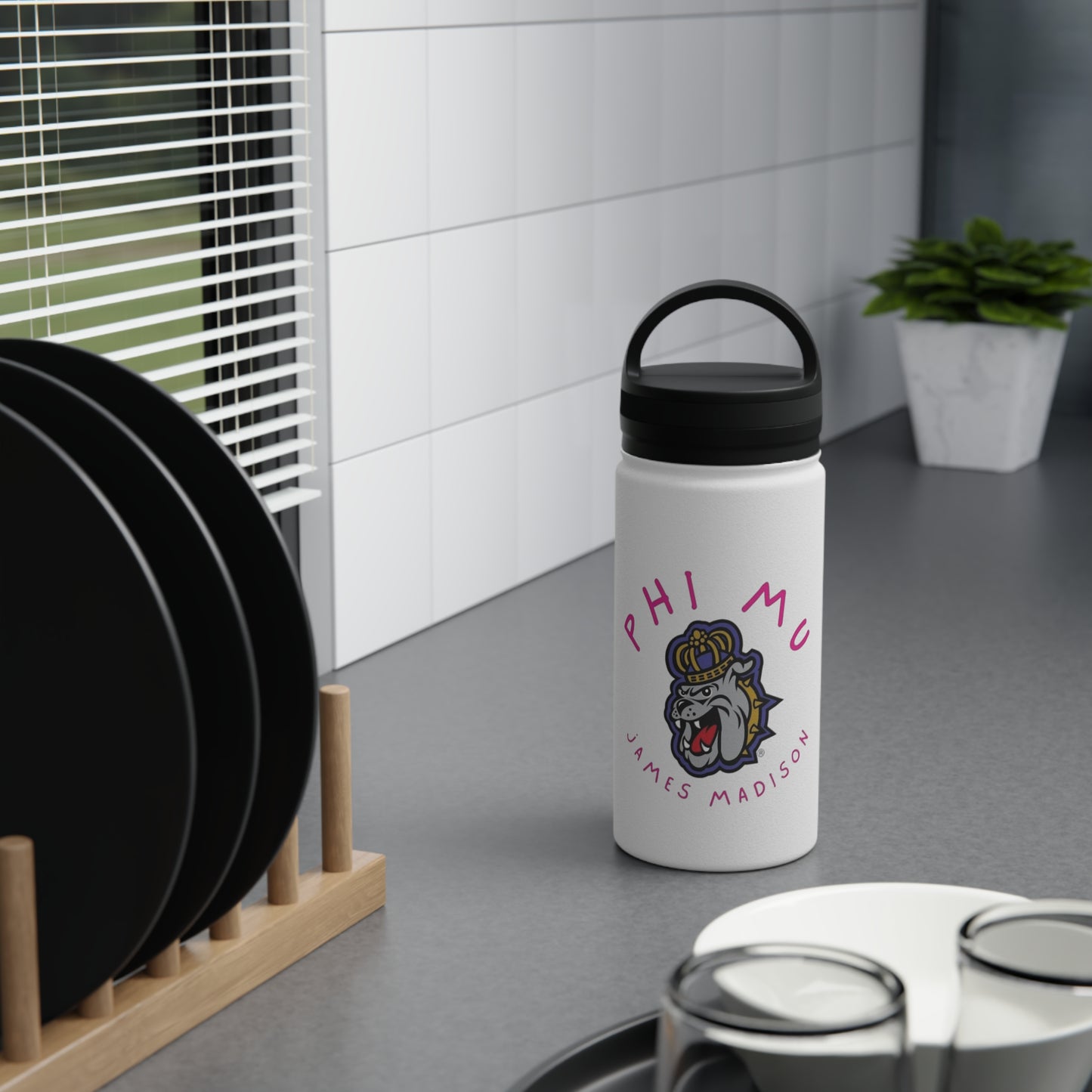 Stainless Steel Water Bottle, Handle Lid
